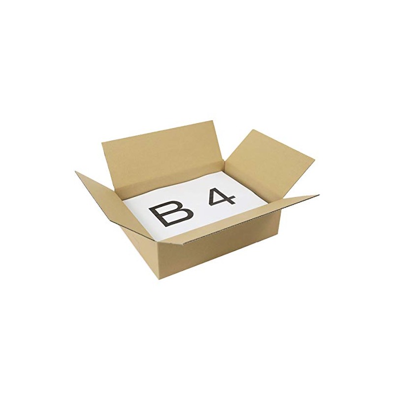 Earth Cardboard ID0354 Cardboard, 80 Size, B4, Depth 4.3 inches