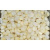 Corn Country Gentleman White Great Heirloom Vegetable by Seed Kingdom