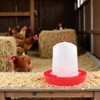 1Pc Baby Chick Feeder and Waterer 0.35Lbs/5.4Oz Chicken Poultry Feeding