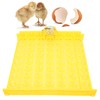 Automatic Egg Turner 56 Eggs ABS Automatic Egg Turner for