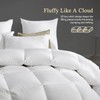 KUSNUG Hotel Luxury Down Fibers Comforter King Size - All