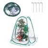 Greenhouse Mini Plant Cover Pop Up PVC Greenhouses Backyard Protecting