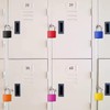 Suitcase Locks Padlocks, Small Luggage Locks with Keys with Outdoor