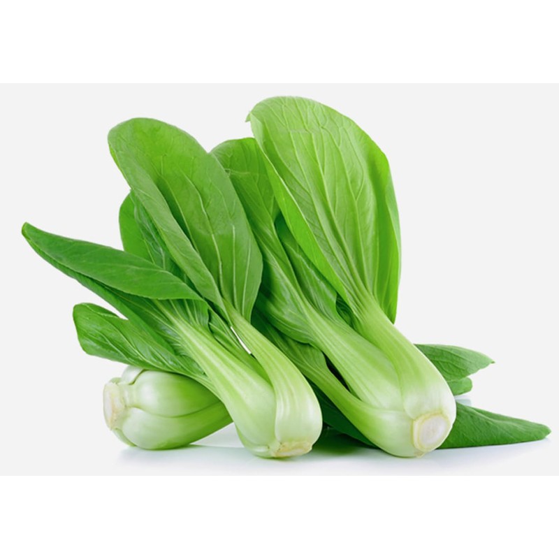 Organic Natural Pure Pak Choi (Bok Choy) Extract Powder -10.58