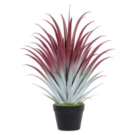 Keeplush 2ft Fake Spiked Agave Plant - Red Artificial Aloe Vera Plant 26 Inch - Tall Large Faux Floor Plants Perfect for Porch Door Step Home Office Patio Indoor Outdoor Decor (1 Pack)
