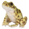 ウービア イシカワガエル グリーンブラウン 8×8×7㎝ 人形 フィギュア 置き物 アニマル 動物 ガーデン