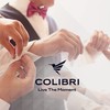 Colibri Polaris Cufflinks for Men - Polished/Satin/Black Steel - Designer