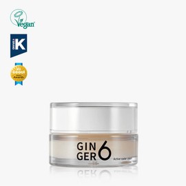 진저6 비건 액티브 워터 수분 크림 50ml Ginger6 Vegan Active Water Moisture Cream 50ml