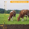 Toriexon Fiberglass Fence Posts 50" - 10 PCS, Electric Fence