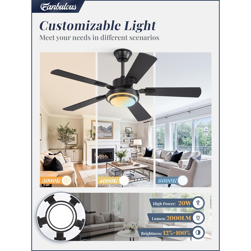 48 Inch Indoor Outdoor Large Ceiling Fans with Lights and