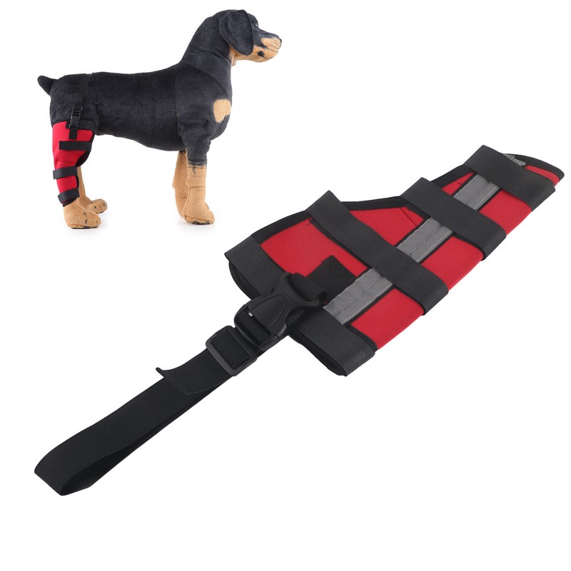 Dog Hind Leg Brace Breathable Comfortable Stable Support Pet Knee