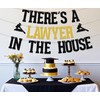 SJcysrilla There's a Lawyer in the House Banner Born to