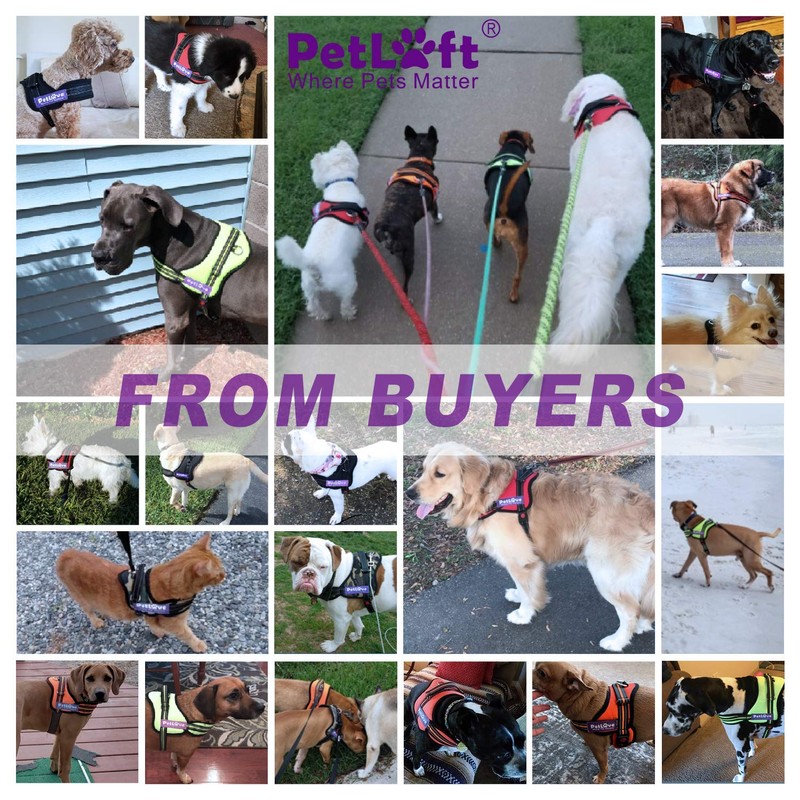 PETLOFT Dog Harness, Adjustable Soft Leash Padded No Pull Dog