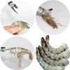 3 PCS Multifunctional Shrimp Peeler, 5 In 1 Multifunctional Shrimp