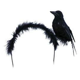 Western F.a.s.h.i.o.n Small Crow Headband, Black