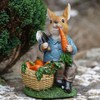 Hungry Bunny Resin Sculpture | Home Garden Peter Rabbit Statue