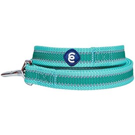 Blueberry Pet Essentials Reflective Back to Basics Dog Leash, Minty Green, 4 ft x 1", Large, Leashes for Dogs