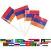 JBCD Armenia Toothpick Flag Armenian Mini Small Cupcake Topper Flags,