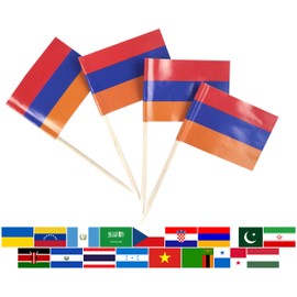 JBCD Armenia Toothpick Flag Armenian Mini Small Cupcake Topper Flags, 100 pcs