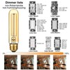 LiteHistory Dimmable T10 LED Bulb 4W Equal E26 Edison Bulb