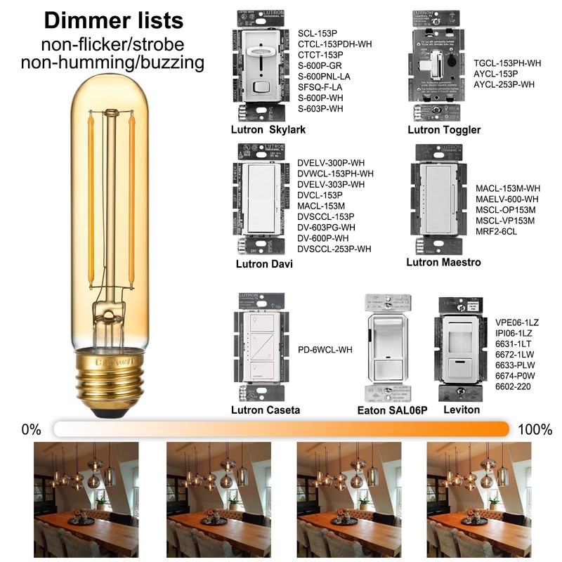 LiteHistory Dimmable T10 LED Bulb 4W Equal E26 Edison Bulb