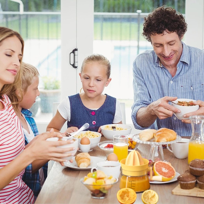 Simple Juicer, Multi-Function Hand Crank Juicer, 2 Cup Capacity, Stable