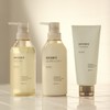 84465550 Vegetable Fermented Liquid Shampoo, Smooth 13.5 fl oz (400