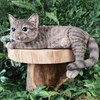 Vivid Arts - Laying Cat Tabby - XRL-DC67-D