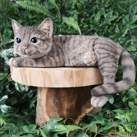 Vivid Arts - Laying Cat Tabby - XRL-DC67-D