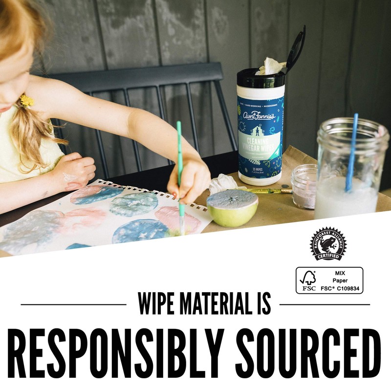 Aunt Fannie's Vinegar Cleaning Wipes, 35 Count (Eucalyptus, 6-Pack)