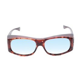 Medspex Fl012 Color Therapy Reading Glasses +2.25 Tortoise Havana/Blue Fluorescent Light Sensitivity Chakra Chromotherapy