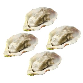 Kisangel Vivid Food Toys Set 4pcs Artificial Shellfish Seafood Oysters Models Pretend Play Food Toys for Boys and Girls