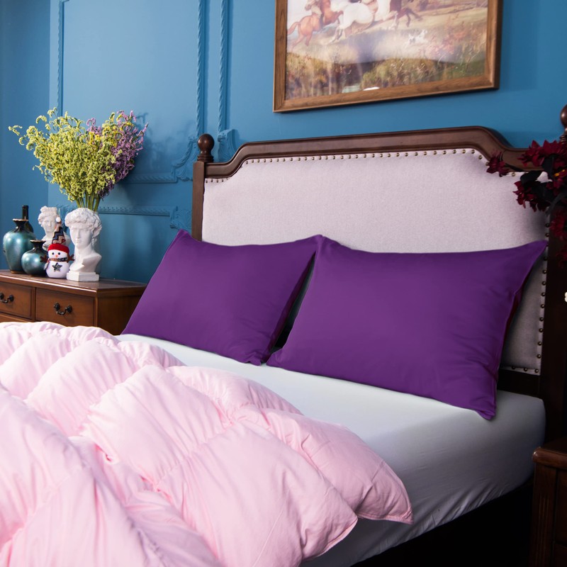 NTBAY 2 Pack 500 Thread Count 100% Egyptian Cotton Pillow