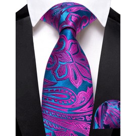 Barry.Wang Paisley Pre-Tied for Boys Silk Necktie Handkerchief Adjustable Kids Teenager Festival School Teal