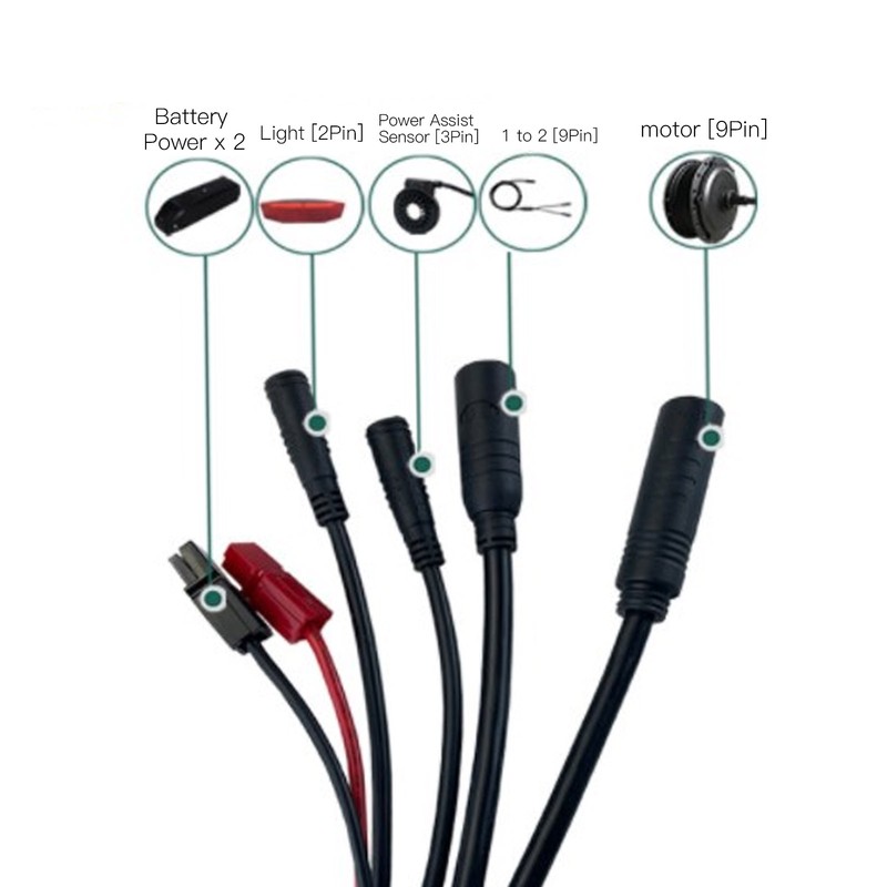 Bicycle Lithium Battery Conversion Kit 22A Controller GD06 Display 1