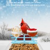 64GB Smart Bird Feeder with Camera Solar Powered, AI Identify