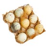 The Bridge Collection Decorative Carton of Speckled Eggs