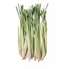 Unbranded Fresh Lemongrass by pound - 2lb