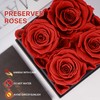 DEC RLA HOME Decor Preserved Rose in a Box Forever