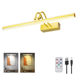 RAIFOOLLY Picture Light,2Colors Art Lights for Paintings,20" Battery Wall Light,Remote Control Accent Lighting with Timer and Dimmable for Frame,Portrait,Artwork-Brass