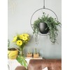 ABETREE Hanging Planter for Indoor Outdoor Plants Metal Mid Century