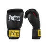 Benlee Rocky Marciano Boxing Training Gloves Rodney, 10