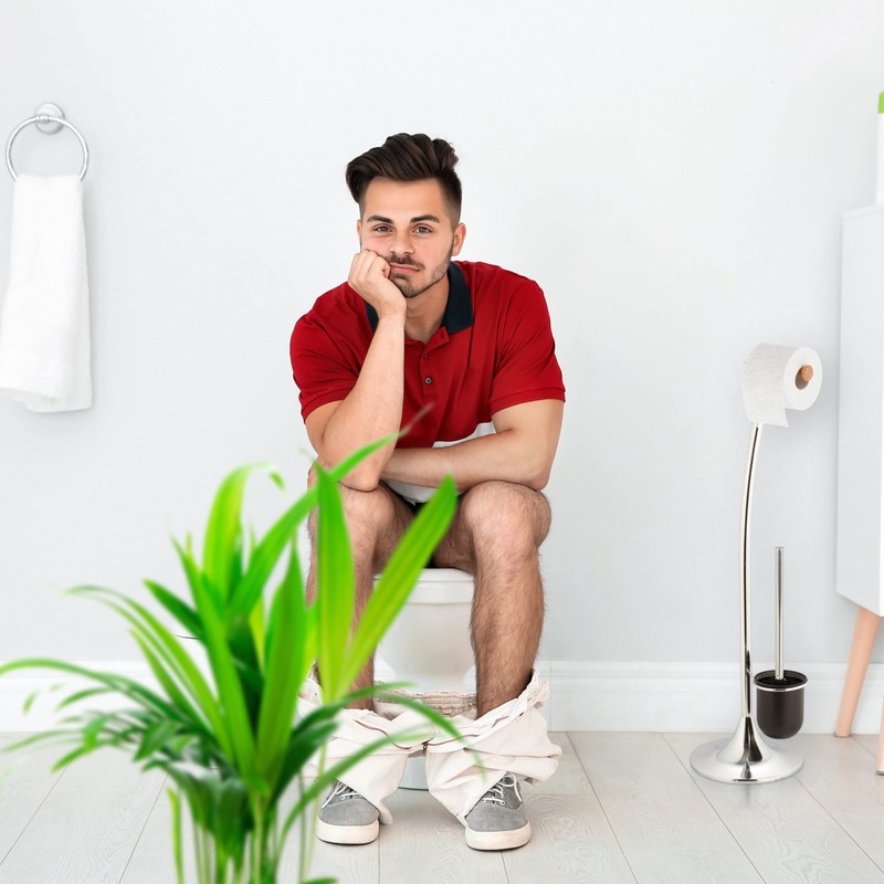 Relaxdays 4 x Toilet Brush, Replacement, Removable Brush Head, Toilet