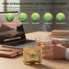 Soilmount - Astragalus Tea - |Astragali Radix|huang qi|黄芪| - Pure