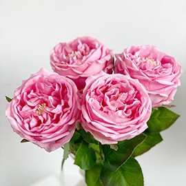 YalzoneMet 4 rosas artificiales de 17.7 pulgadas de tallo largo Austin rosa peonías falsas para el hogar, fiesta, al aire última intervensión, decoración de boda, ramo de novia