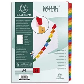 Exacompta - Ref 1131E - Printed Indices - Suitable for A4 Documents, Pre-Punched for Lever Arch Files & Binders, 31 Part (Sections 1-31), FSC-Certified - White with Multicoloured Tabs