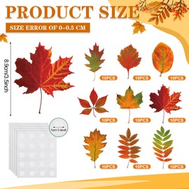 Zonon 90 Pcs Fall Maple Leaves Cutouts Classroom Bulletin Board Decor Autumn Real Gradient Maple Leaves Oak Leaf Shape Cutouts for Fall Autumn Thanksgiving Theme Party Decor Wall Chalkboard DIY Craft