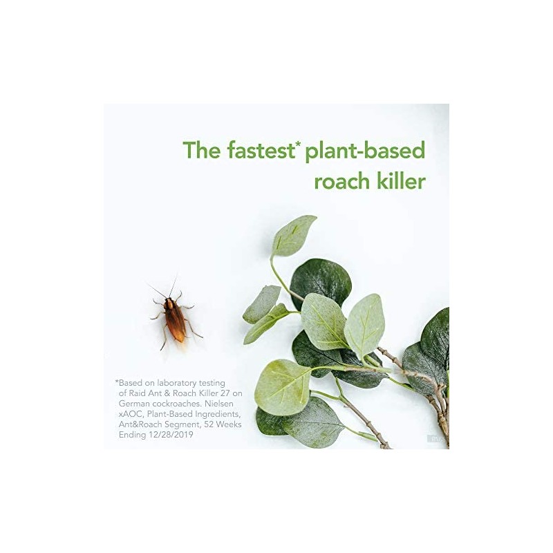 Raid Essentials Ant Spider and Roach Killer Aerosol Spray, Kills