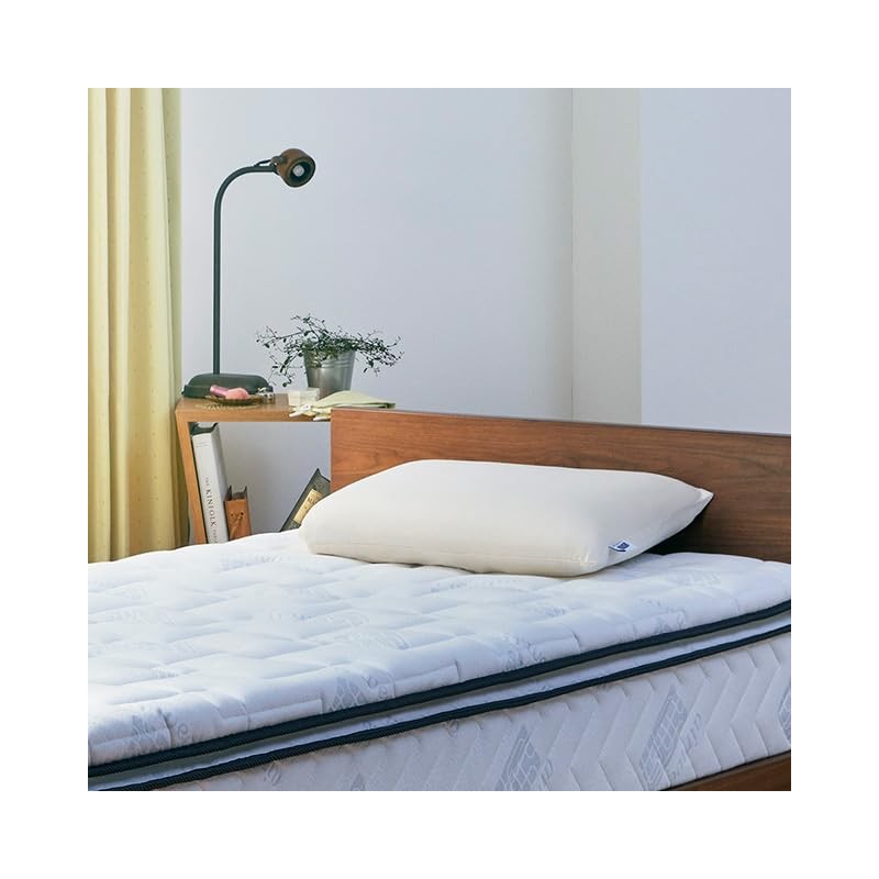 airweave (eauxi-ヴ) Pillow Cases