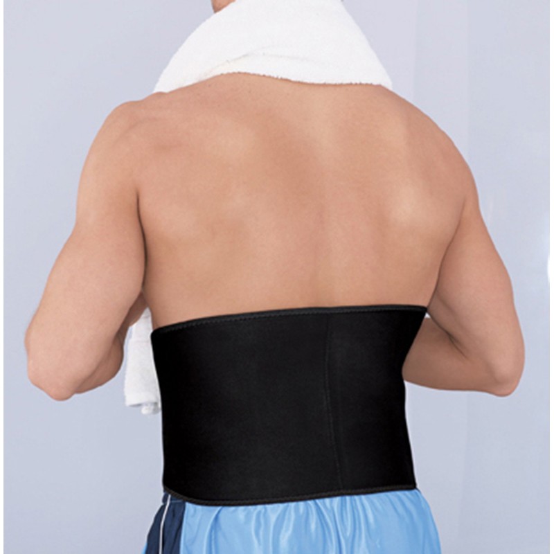 Ace Adjustable Contoured Back Support, 0.50 Pound